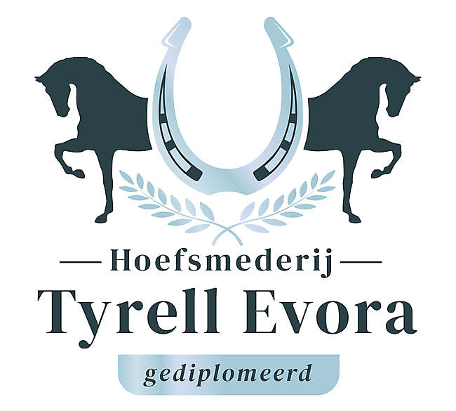 Hoefsmederij Tyrell Evora Scheemda